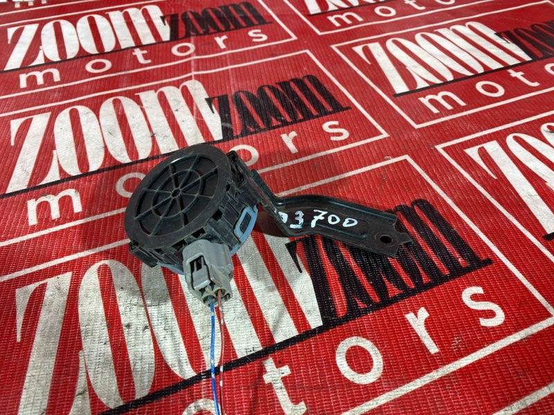 Сигнал, 900 рублей, Солонцы