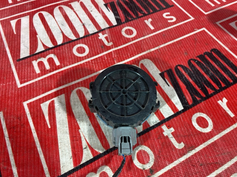 Сигнал, 900 рублей, Солонцы