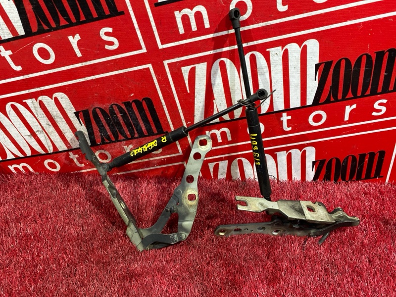 Петля (Шарнир капота), 700 рублей, Солонцы