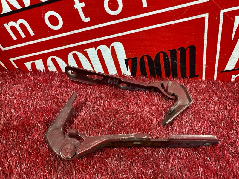 Петля (Шарнир капота), 500 рублей, Солонцы