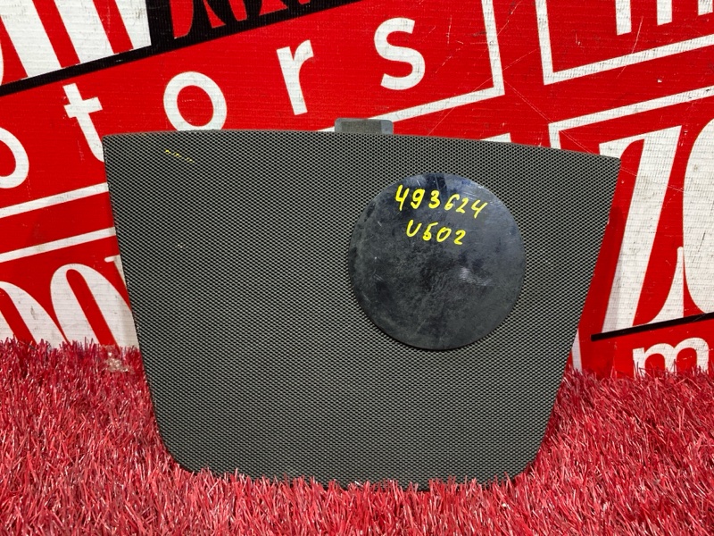 Динамик, 1000 рублей, Солонцы