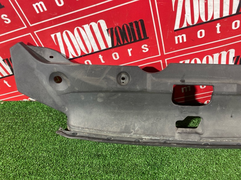 Накладка на решетку радиатора, 1000 рублей, Солонцы