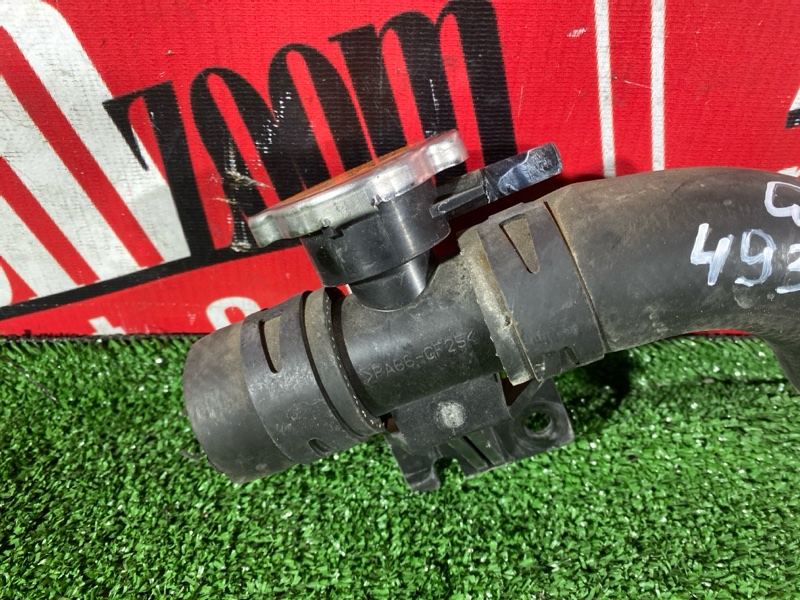 Горловина радиатора, 1500 рублей, Солонцы