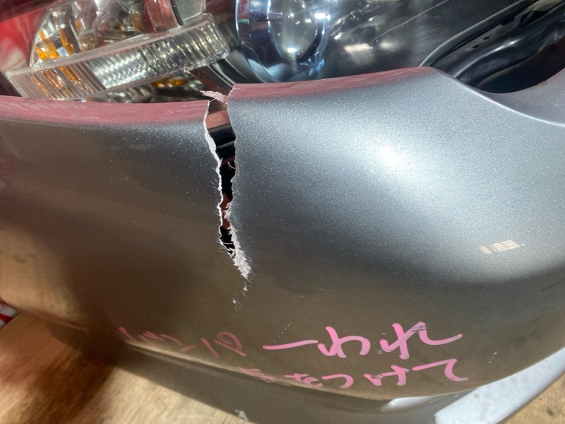 Nose cut, 60000 рублей, Солонцы