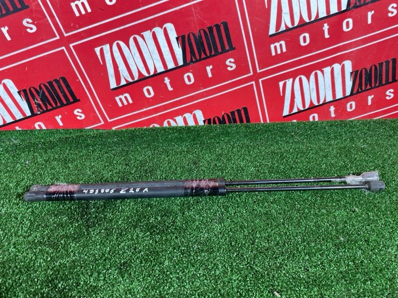 Амортизатор багажника, 500 рублей, Солонцы