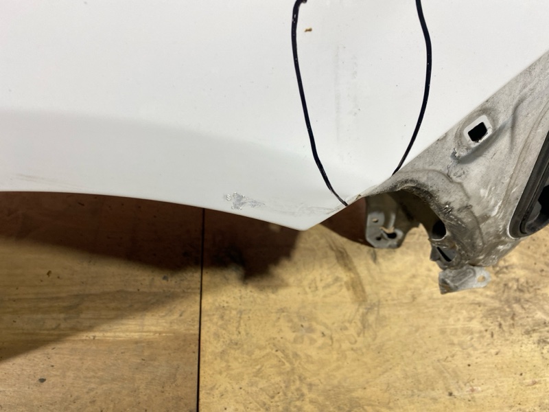 Крыло, 43000 рублей, Солонцы