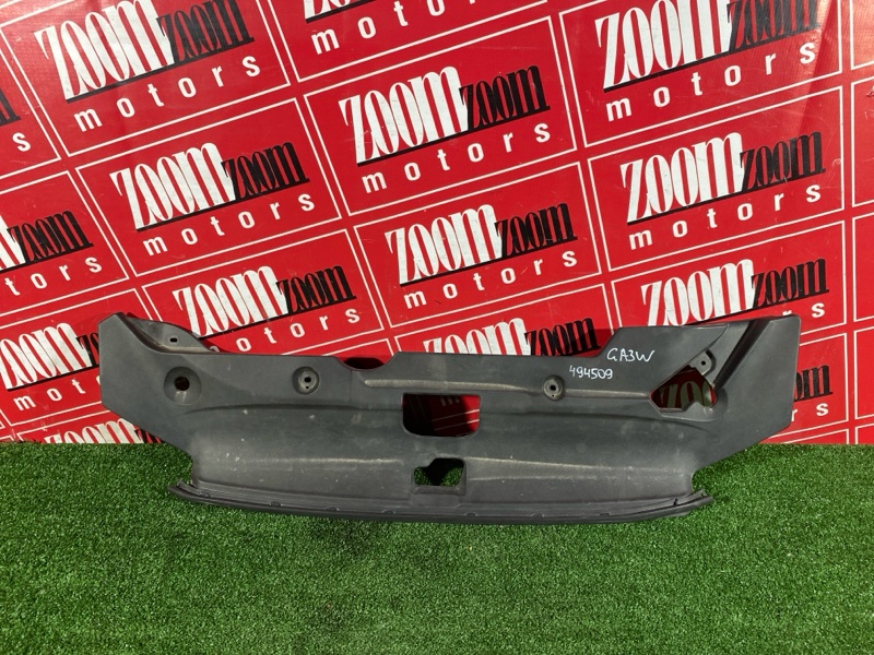 Накладка на решетку радиатора, 1000 рублей, Солонцы