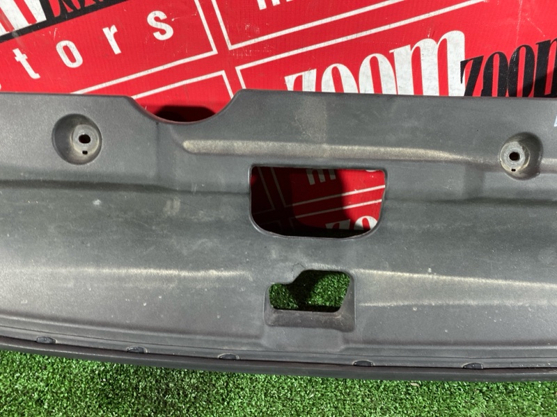 Накладка на решетку радиатора, 1000 рублей, Солонцы