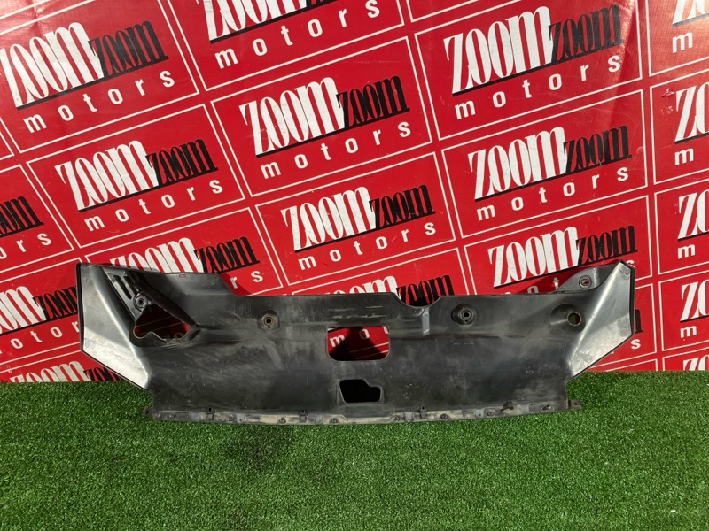 Накладка на решетку радиатора, 1000 рублей, Солонцы