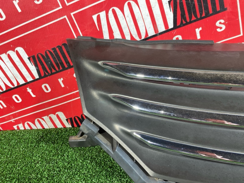 Решетка радиатора, 1000 рублей, Солонцы