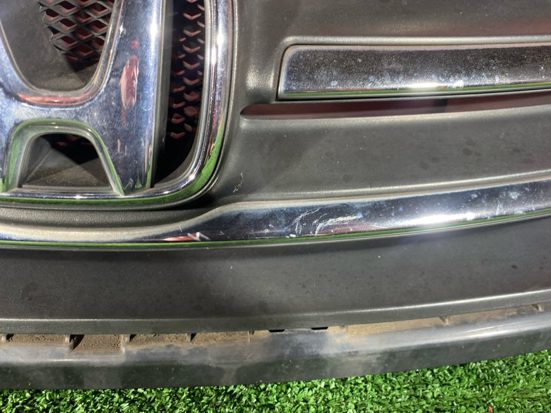 Решетка радиатора, 1000 рублей, Солонцы