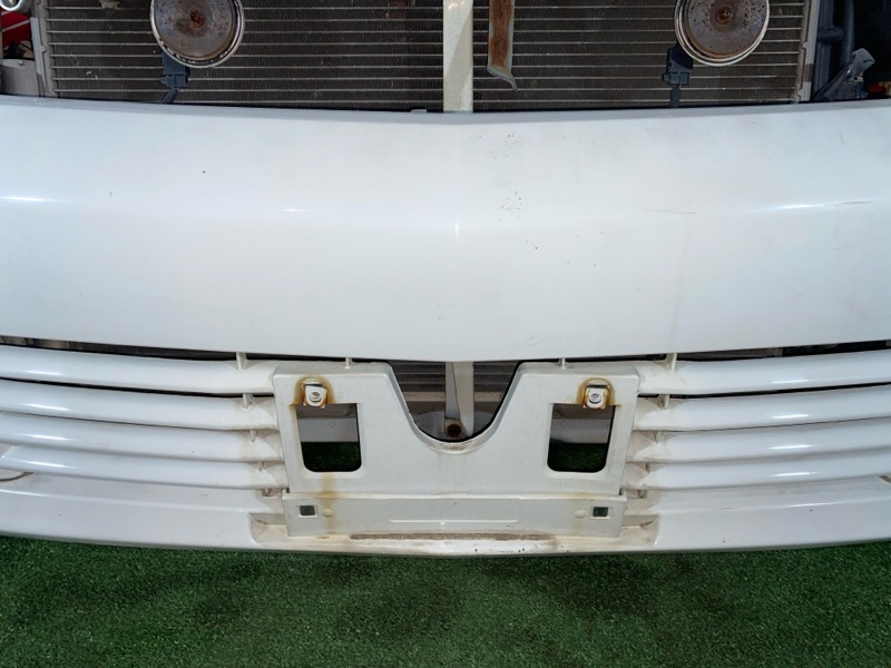 Ноускат, 55000 рублей, Солонцы