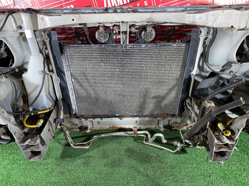 Ноускат, 45000 рублей, Красноярск