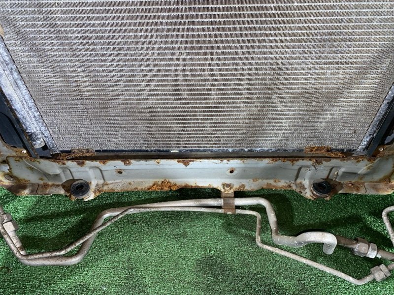 Ноускат, 45000 рублей, Красноярск