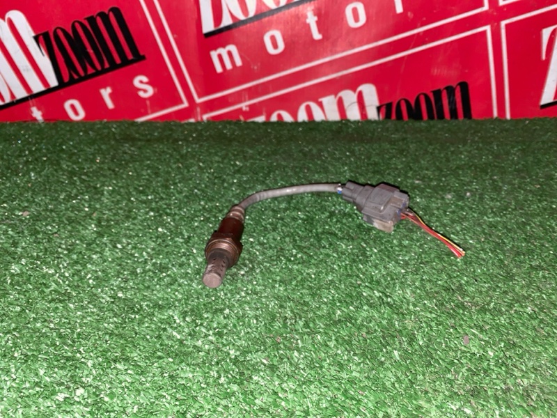 Лямбда-зонд, 1000 рублей, Солонцы