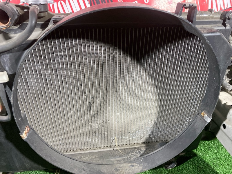 Ноускат, 70000 рублей, Солонцы