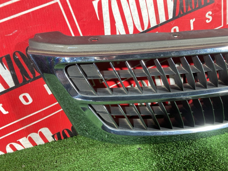 Решетка радиатора, 45000 рублей, Солонцы