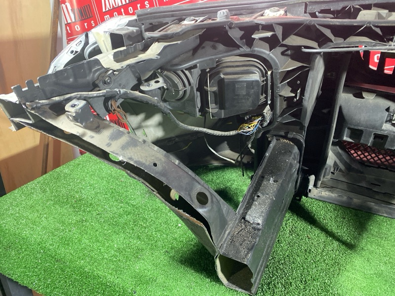 Nose cut, 82000 рублей, Солонцы