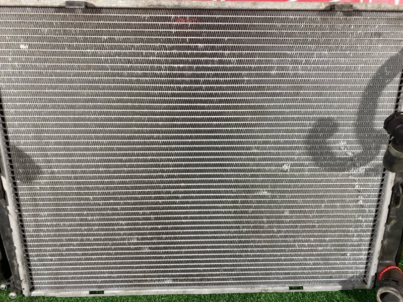 Nose cut, 82000 рублей, Солонцы