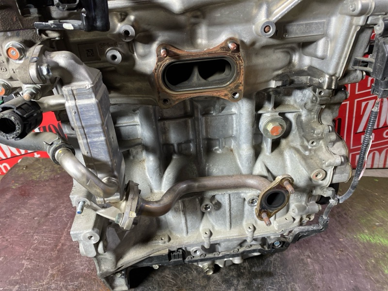 Двигатель, 42800 рублей, Солонцы