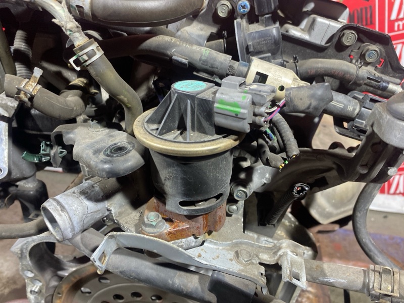 Двигатель, 130000 рублей, Солонцы