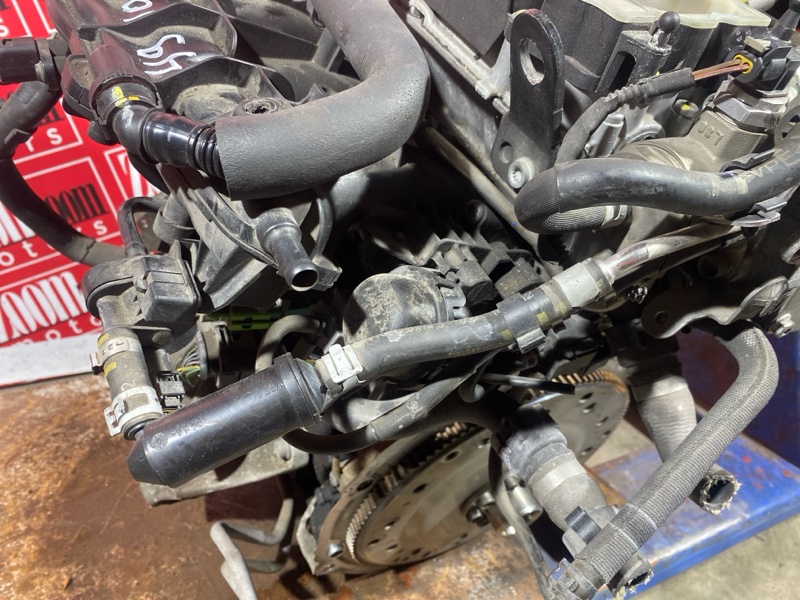 Двигатель, 167100 рублей, Солонцы