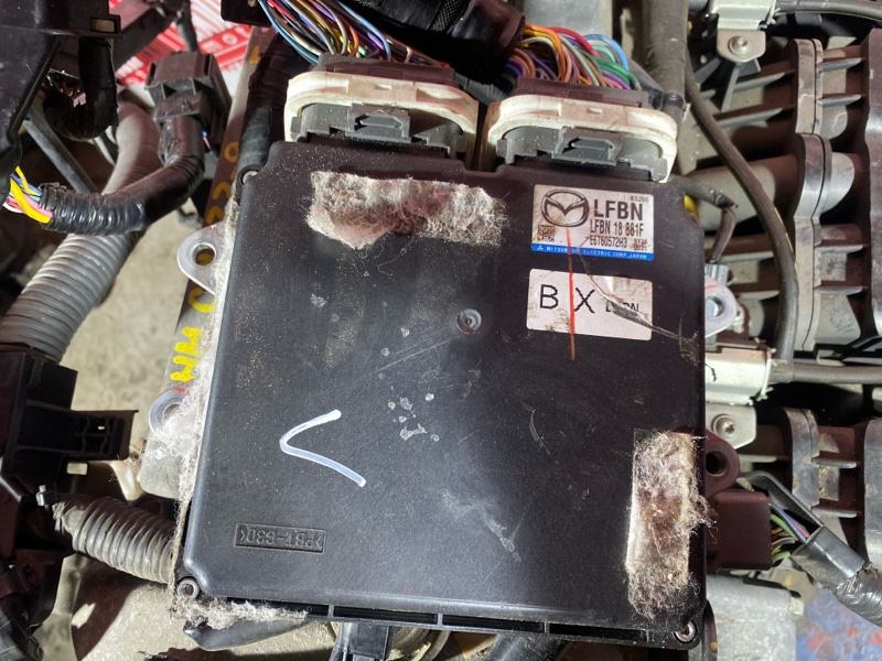 Двигатель, 70000 рублей, Солонцы