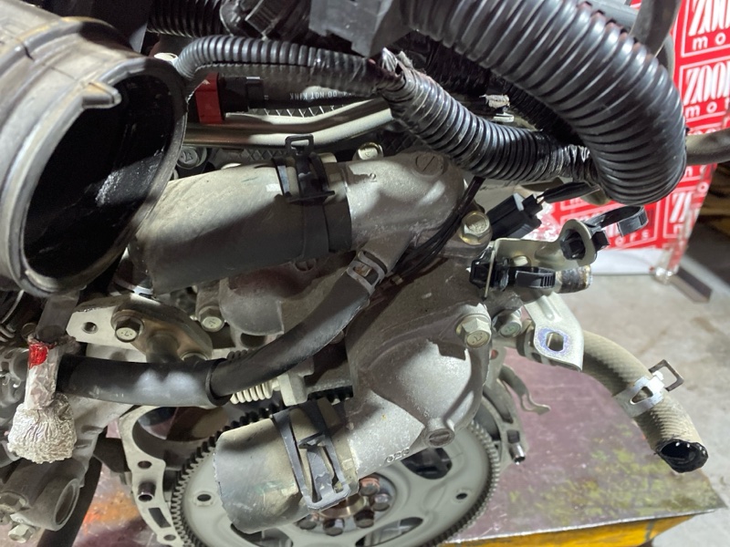 Двигатель, 130000 рублей, Солонцы