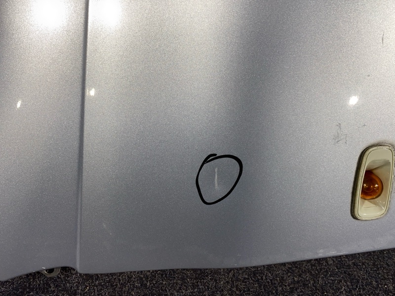 Крыло, 1800 рублей, Солонцы