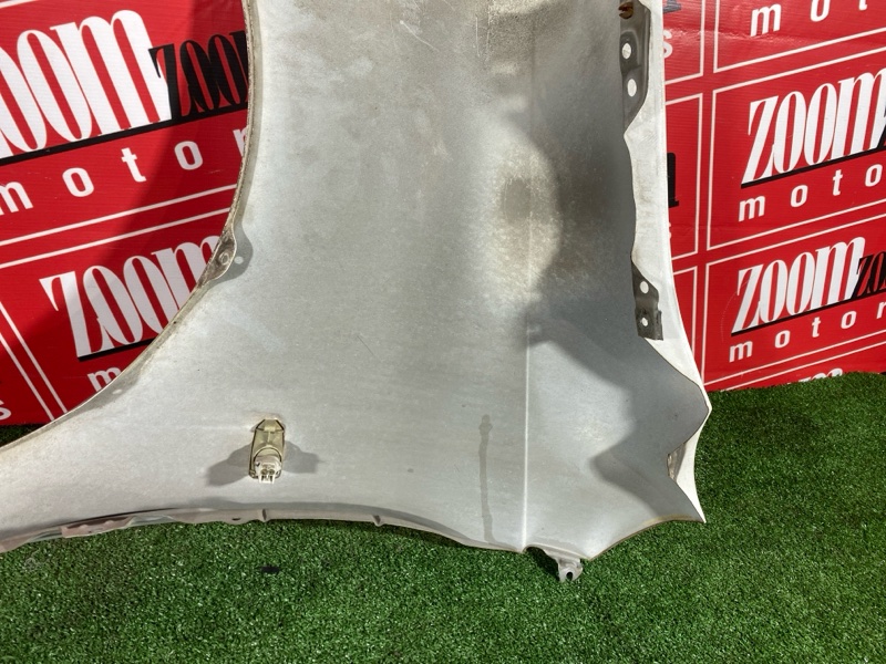 Крыло, 2900 рублей, Солонцы