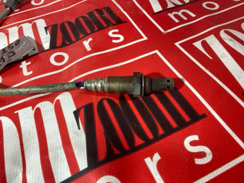 Лямбда-зонд, 1000 рублей, Солонцы