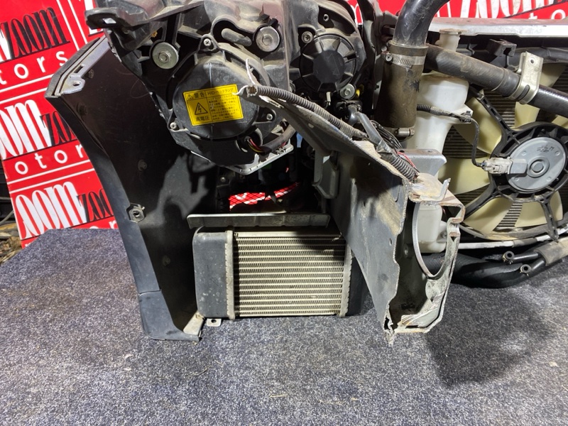 Nose cut, 58000 рублей, Солонцы