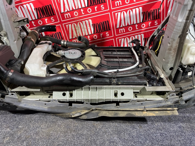 Nose cut, 58000 рублей, Солонцы