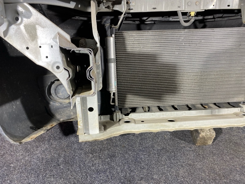 Nose cut, 58000 рублей, Солонцы