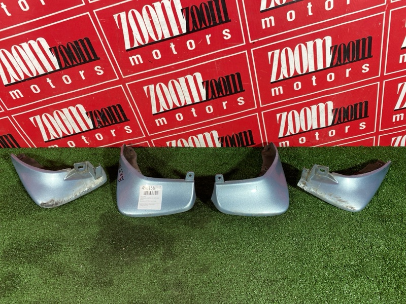 Брызговик, 2500 рублей, Солонцы