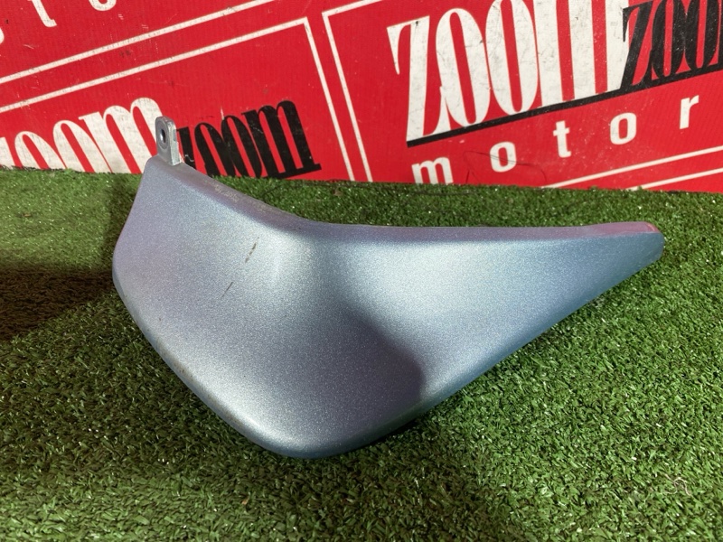 Брызговик, 2500 рублей, Солонцы