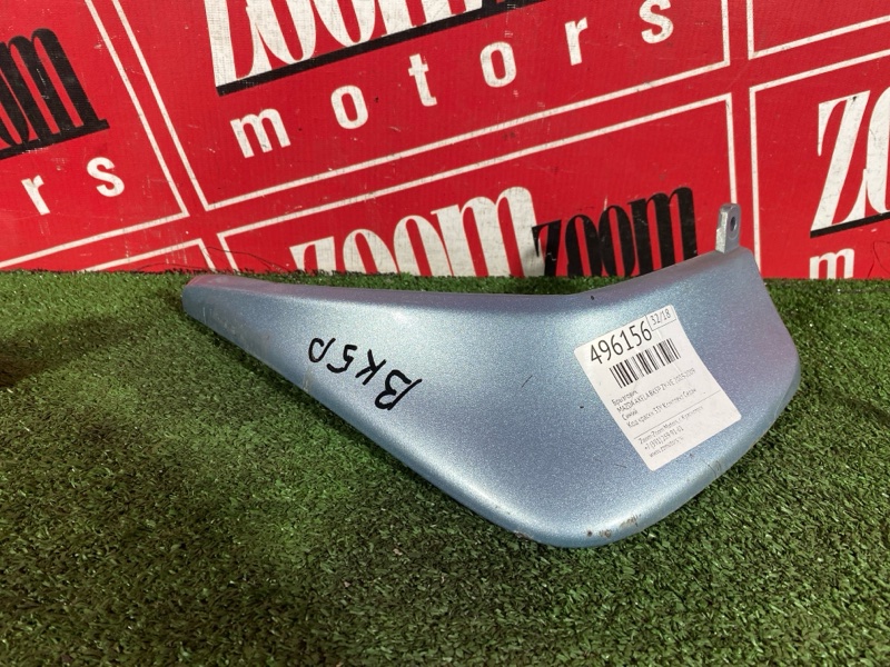 Брызговик, 2500 рублей, Солонцы