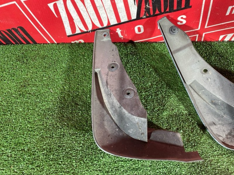 Брызговик, 2500 рублей, Солонцы