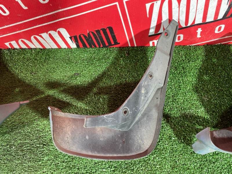 Брызговик, 2500 рублей, Солонцы