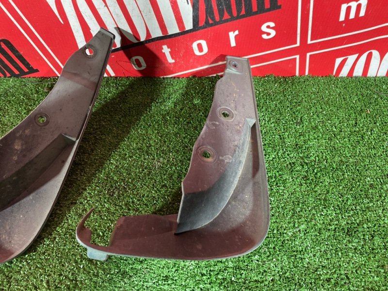 Брызговик, 2500 рублей, Солонцы