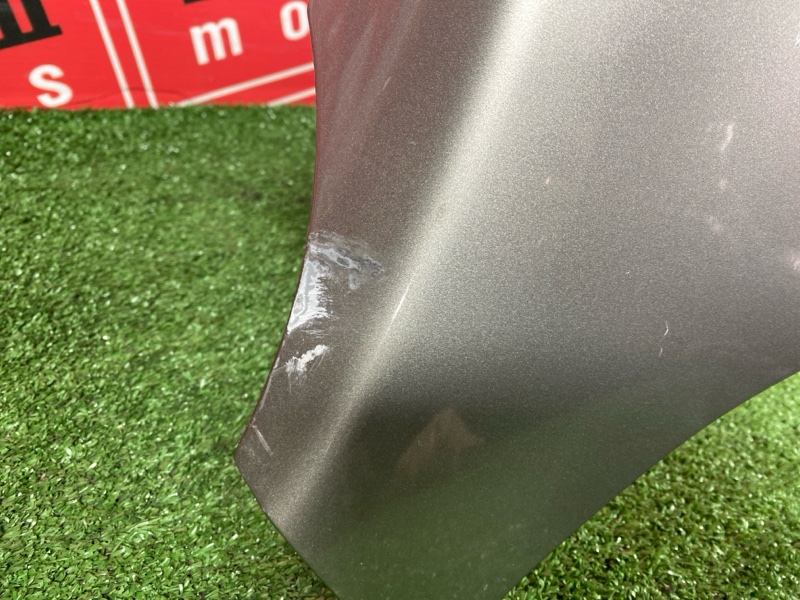 Крыло, 3900 рублей, Солонцы