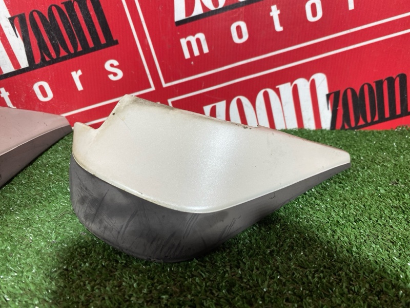 Брызговик, 2500 рублей, Солонцы