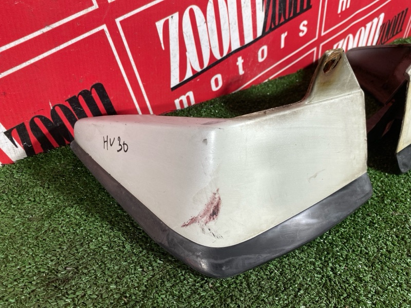 Брызговик, 1000 рублей, Солонцы