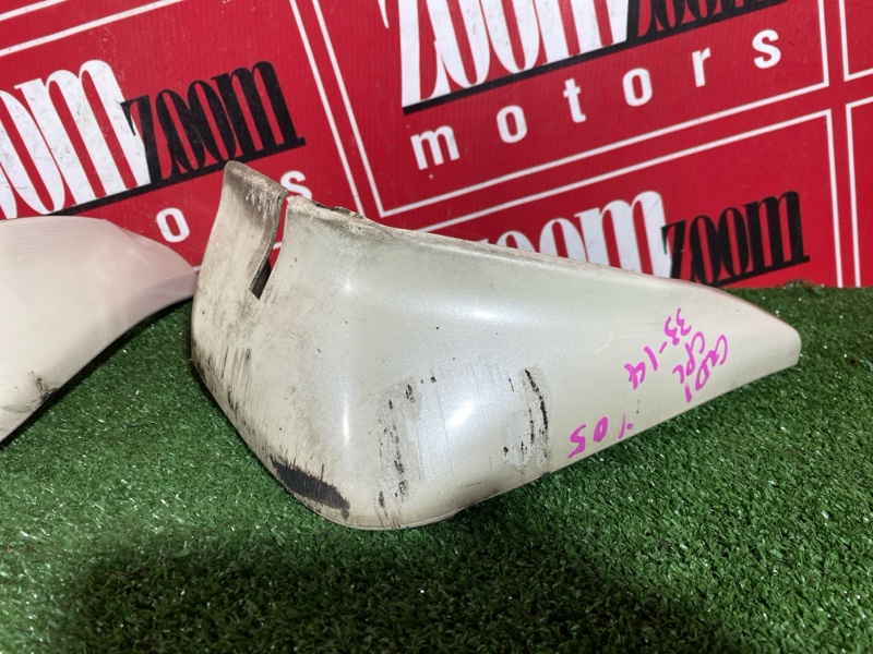 Брызговик, 1000 рублей, Солонцы