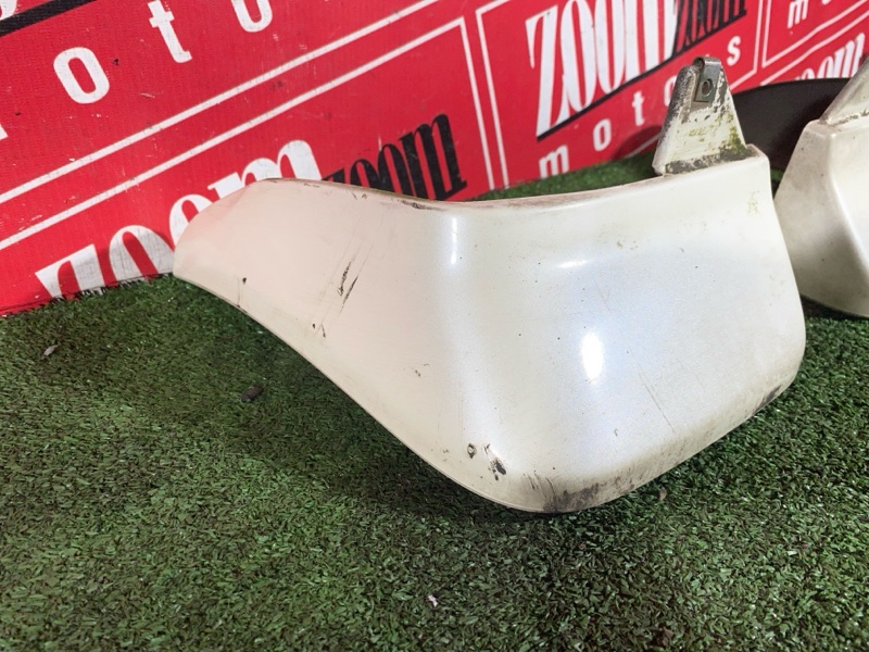 Брызговик, 1000 рублей, Солонцы