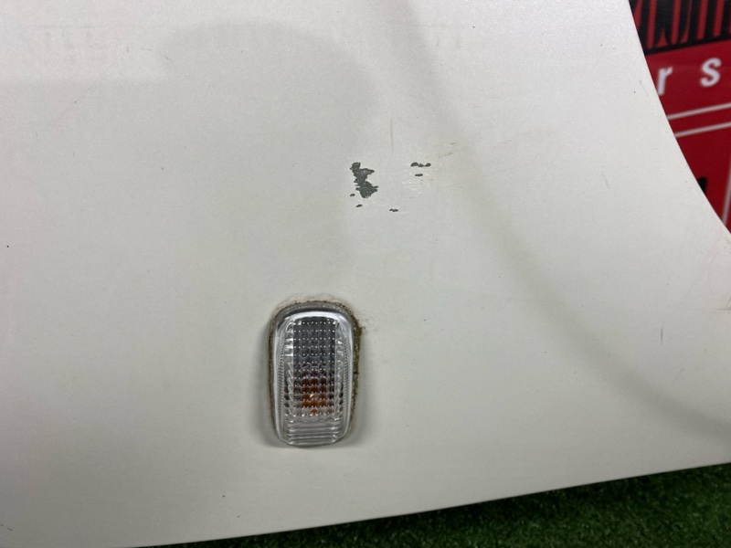 Крыло, 2200 рублей, Солонцы