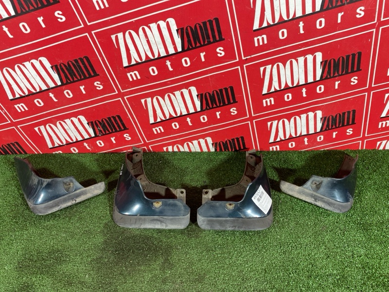 Брызговик, 1900 рублей, Солонцы