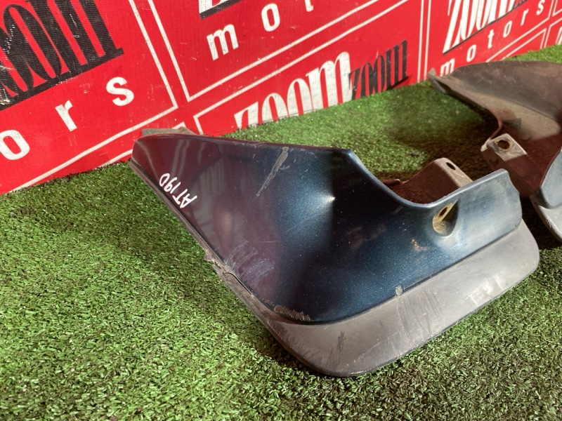 Брызговик, 1900 рублей, Солонцы