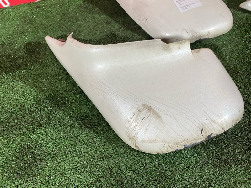 Брызговик, 4000 рублей, Солонцы