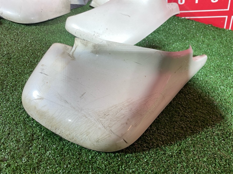 Брызговик, 4000 рублей, Солонцы